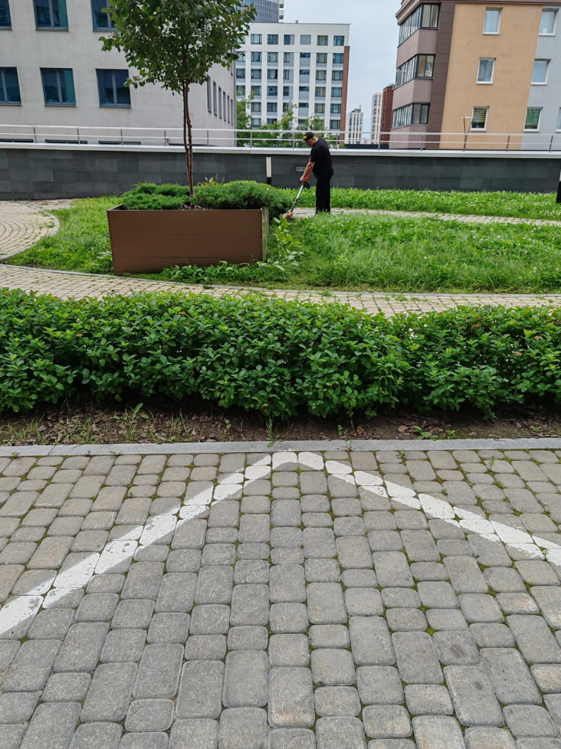 Покос травы (2).jpg